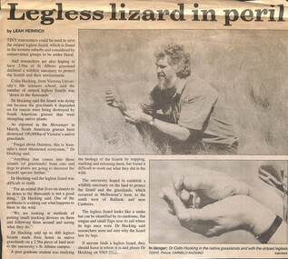 Article - Legless Lizard