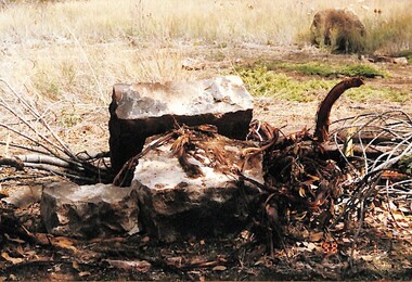 Photograph - Remains of the first Deer Park Township, Des Johnson