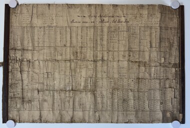 Plan - Albion (Old) being Subdivided Sections XVIII and XIX Parish of Cut Paw Paw 1879 Map