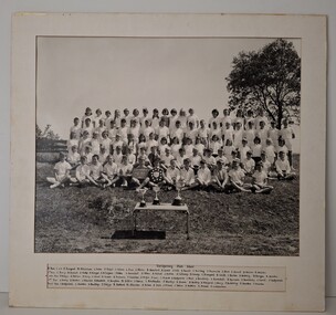 Photograph - Maribyrnong State School Collection - 1967 Sports Team Photograph