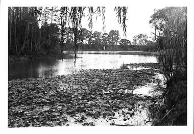 Photograph - Mt Macedon Dam