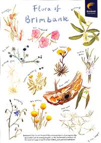 Poster - Brimbank City Council Flora and Fauna Posters