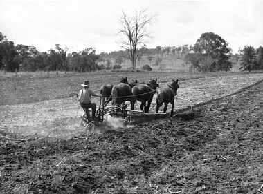 Photograph - H.V. McKay Massey Harris Horse Drawn Equipment Photographs