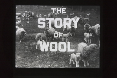 Education kit - Sunshine Technical School - The Story Of Wool Education Slides