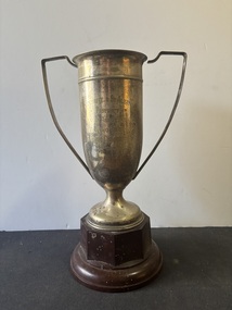 Award - Sunshine & St. Albans District Tennis Association Web King Trophy B Grade Trophy