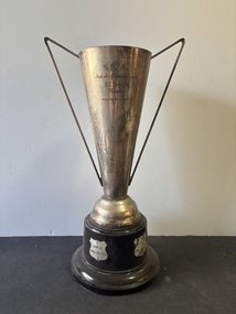 Award - Sunshine District Tennis Association Junior Competition B2 Division Premiers Trophy