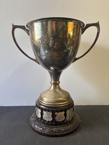 Award - Sunshine District Tennis Association J. Riley A Reserve Trophy