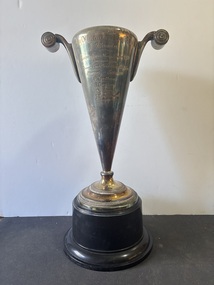 Award - City Of Melbourne Bowls Club Moomba Electric Light Men's Fours 1984 Winner Sunshine Trophy