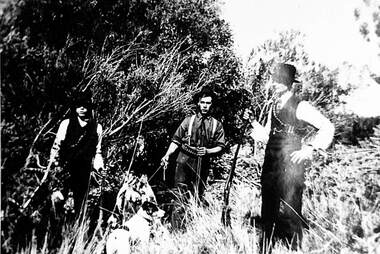 Photograph - Rabbit Hunting Photograph