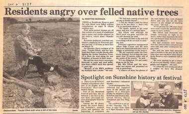 Article - Stradbroke Drive Reserve St. Albans - Felled Native Trees, Brimbank Messenger (Newspaper), 25th March 1997