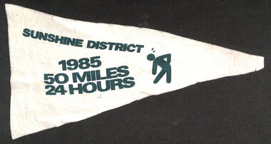 Memorabilia - Scouting Pennants