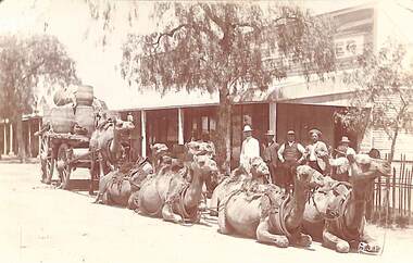 Postcard - Carmel Train Outside Shops Postcard