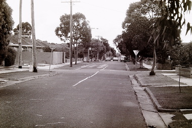 Photograph - Hilma Street Sunshine West Tree Removal 1992 Photographs, John Edwards, 13th May 1992