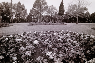 Photograph - H. V. McKay Memorial Gardens Anderson Road Sunshine 1992 Photographs, Sharon Cavanagh, 24th September 1992