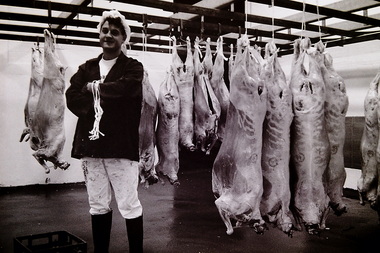 Photograph - Kerbrook Abattoir Braybrook 1991 Photographs, Adam Ellwood, 11th December 1991