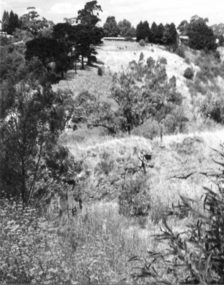 Rockbeare Park 1970s, 1973-1980