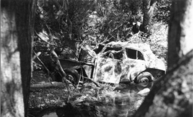 Pollution in Darebin Creek 10th February 1976, 10/2/1976