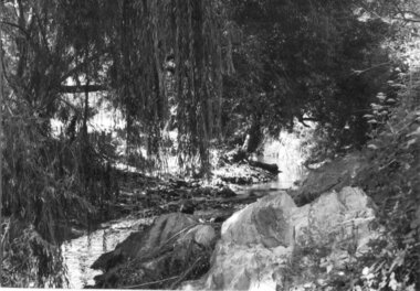 Darebin creek 10th February 1976, Laurie Course, 1976