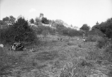 Sue Course in Rockbeare Park, Rockbeare Park Conservation Group, 1976