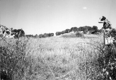 Rockbeare Park, Laurie Course, 1970-1980