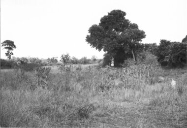 Rockbeare Park, Rockbeare Park Conservation Group, 1976