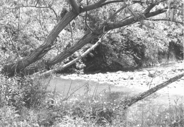 Darebin Creek 1970s, 1973-1980