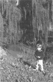 Boy standing below a willow tree, Rockbeare Park Conservation Group, 1973-1980