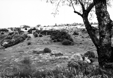 Houses bordering Rockbeare Park 1970s, Laurie Course, 1973-1980