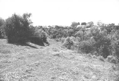 Houses bordering Rockbeare Park 1970s, Laurie Course, 1973-1980
