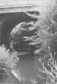 Darebin Creek 1970s, 1973-1980
