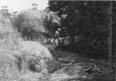 Darebin Creek 1970s, 1973-1980
