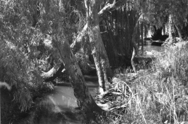 Darebin Creek 1970s, 1973-1980