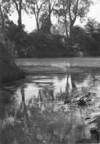 Darebin Creek 1970s, 1973-1980