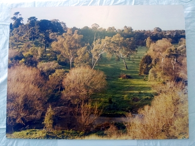 Darebin Parklands, Brad Hales, 1987