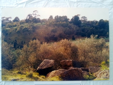 Darebin Parklands, Brad Hales, 1987