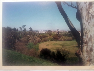 Darebin Parklands, 1980-2000