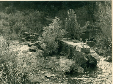 Bluestone weir, Rockbeare Park, February 1975, 1975