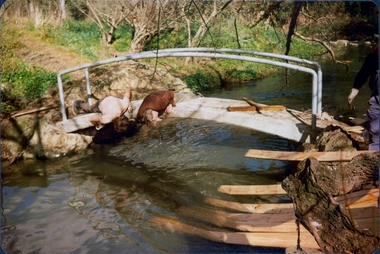 Installing Clifton Bridge, 1979-1980