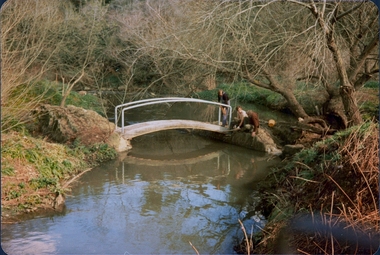 Clifton Bridge, 1979-1980