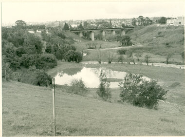 Rockbeare Park and Darebin Creek, August 1974, 1974