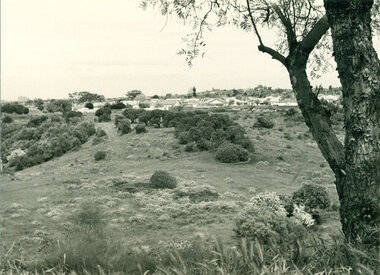 Mulberry Spur with views, 1974