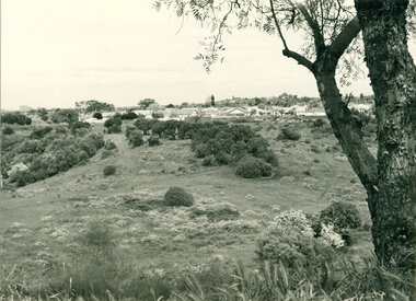 Mulberry Spur with views, 1974, 1974