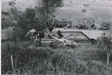 Building 1st ranger's hut, 1979