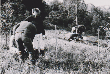 Pouring concrete for ranger's hut, 1979