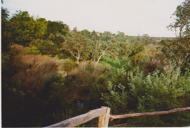 Floodplain in the Darebin Parklands 2nd July 1992, Darebin Parklands Association, 1992