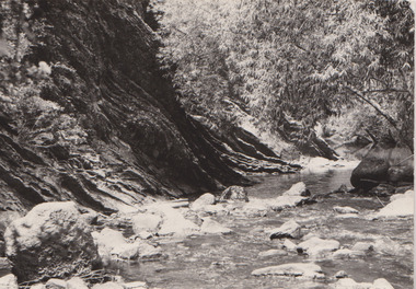 Silurian outcrops, Darebin Parklands Association, 1973-1980