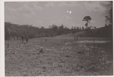 Rockbeare Park after first planting May 1974, Darebin Parklands Association, 1974