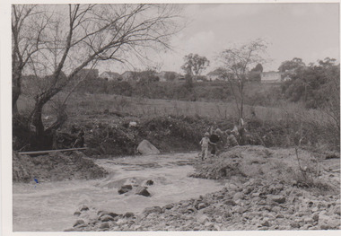 Ford in Darebin Creek May 1974, Darebin Parklands Association, 1974