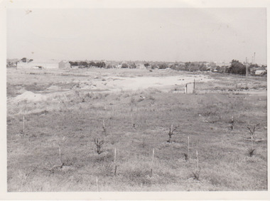 Former tip site area 1979, Darebin Parklands Association, 1979
