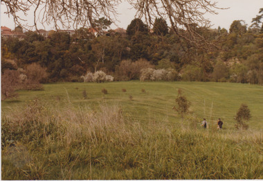Darebin Parklands, Rockbeare Park Conservation Group et al, 1974-1980